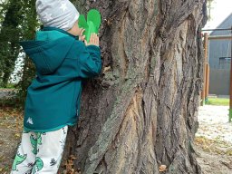 2025-09-29 Przytul się do drzewa SÓWKI